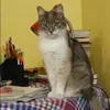 Отзыв от Оксана Воронкова